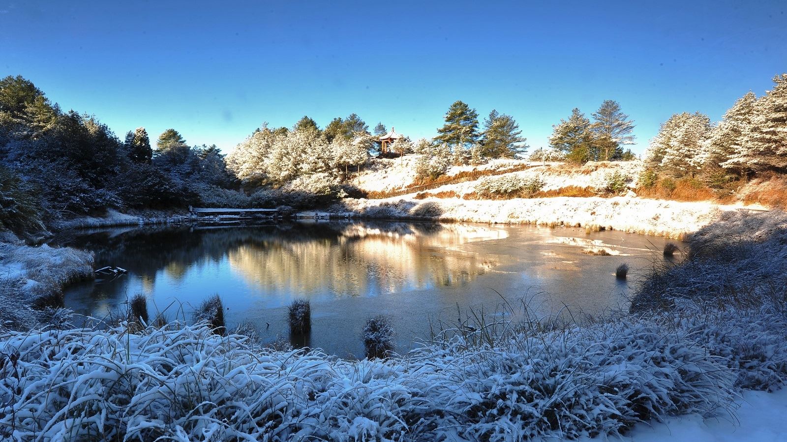 大雪山國家森林遊樂區天池雪景