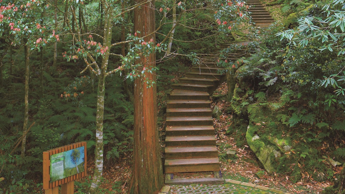 大雪山國家森林遊樂區步道群-步道入口