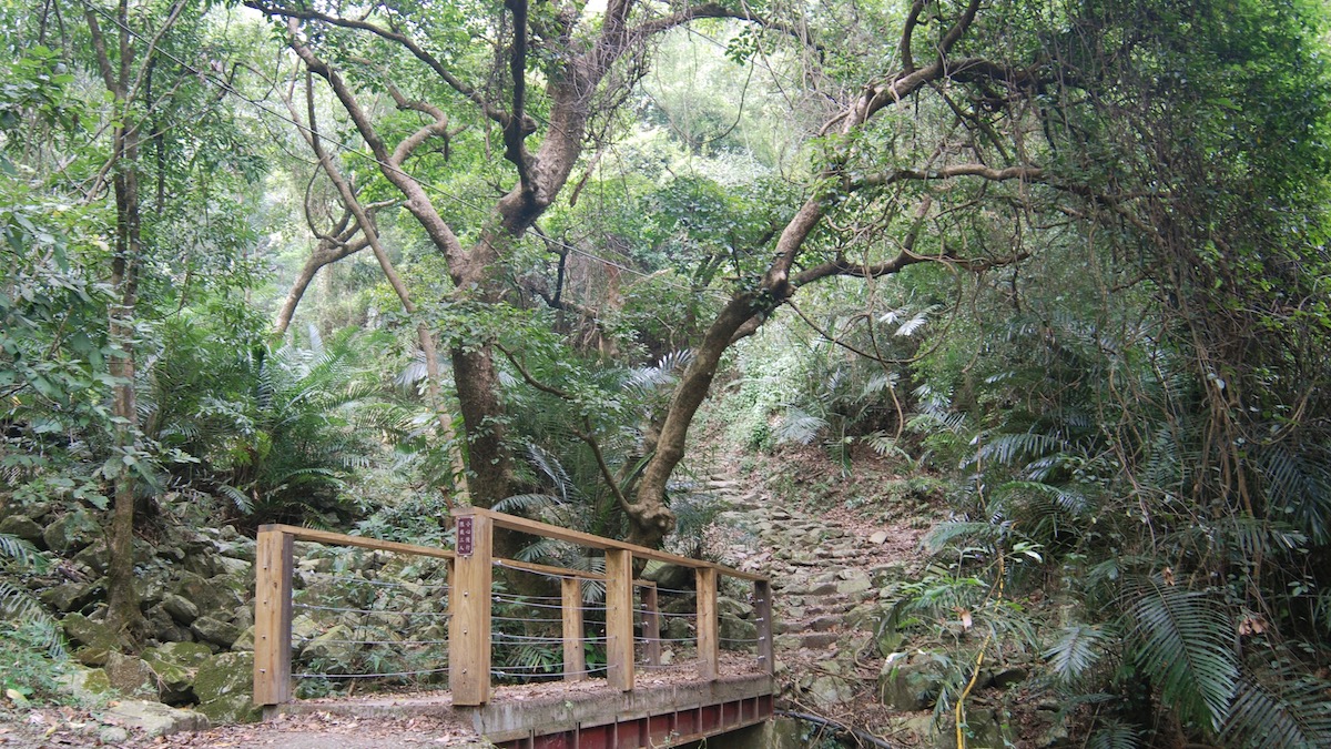 德芙蘭步道棧道
