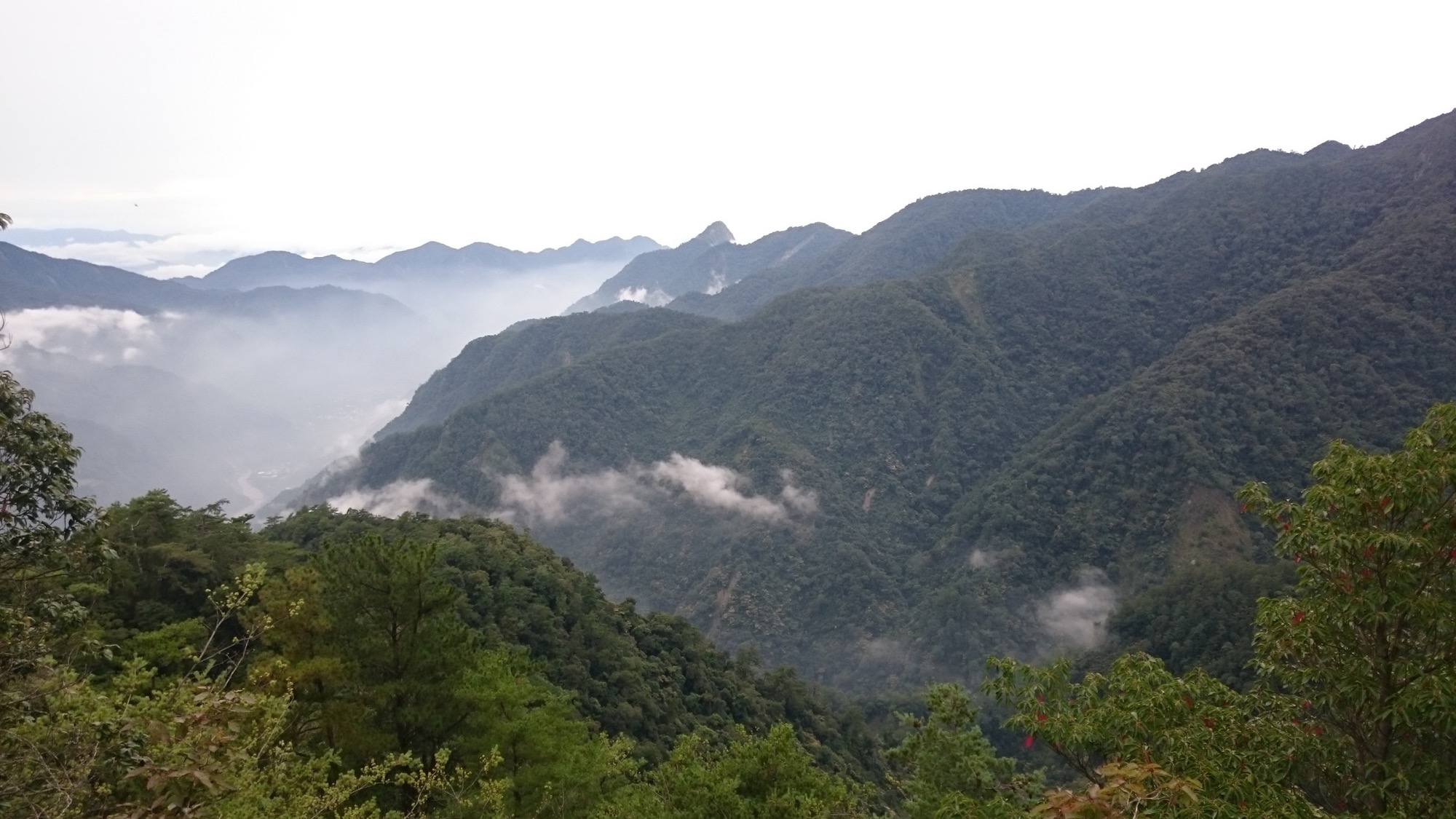 波津加山步道眺望美景
