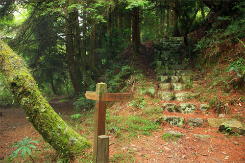 步道景觀-指示牌