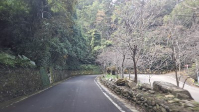 八仙山林道2k+500