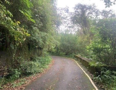 出雲山林道沿線