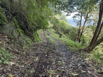 麻必浩林道