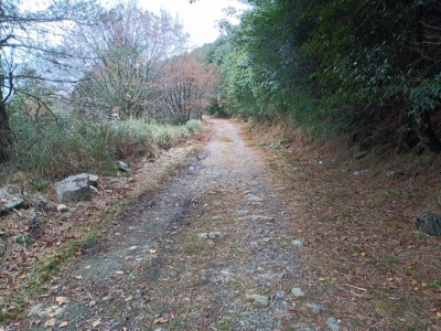 西勢山林道