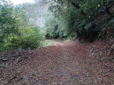 船型山林道