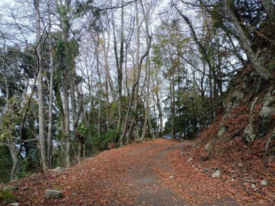 船型山林道沿線