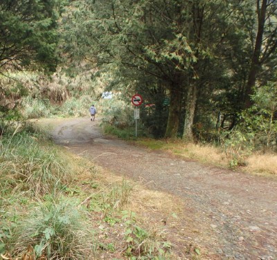 平石山林道路標