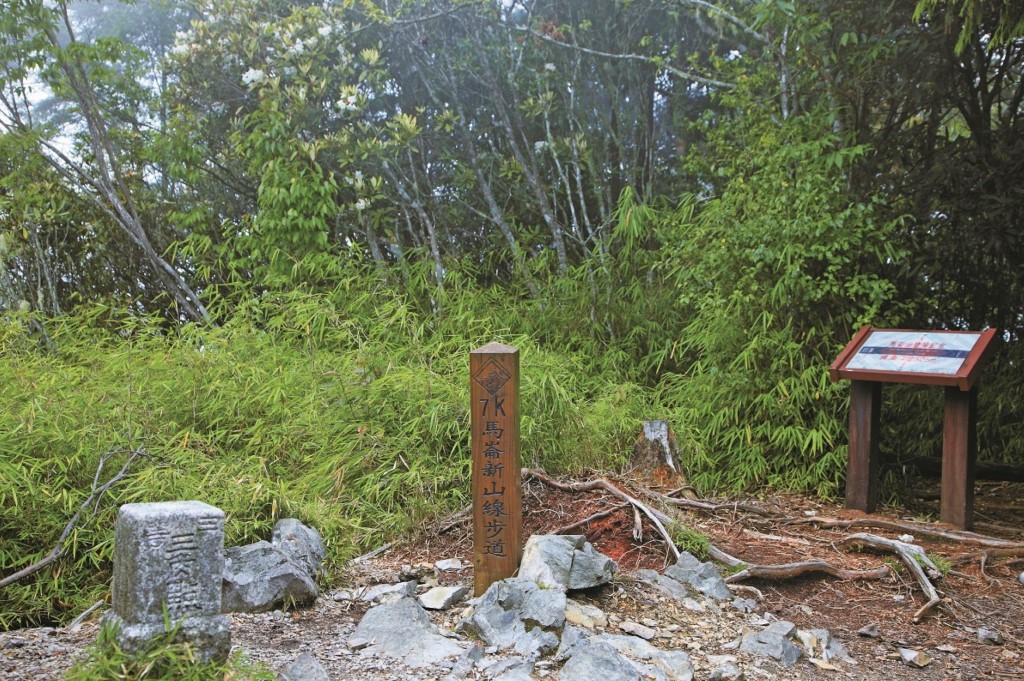 新山馬崙山步道-圖片來源 台灣山林悠遊網