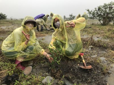 互助營造111年植樹活動4