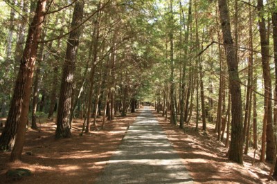 桃山步道