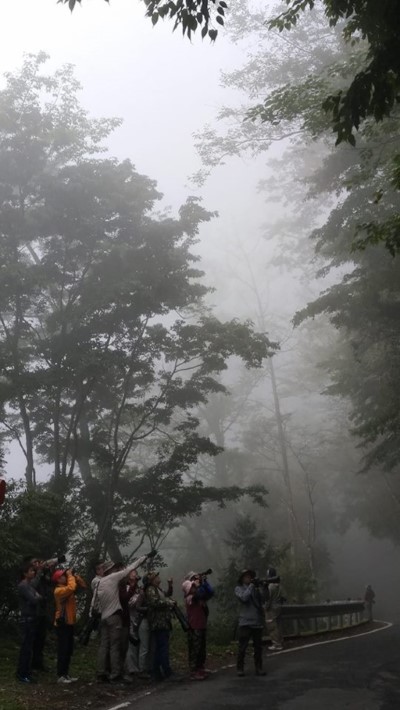 2018大雪山賞鳥大賽比賽參賽隊伍觀察鳥類情形