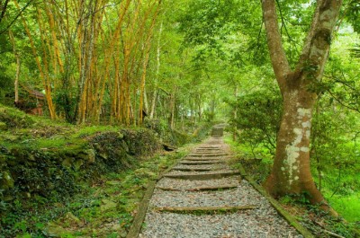 八仙山往靜海寺步道