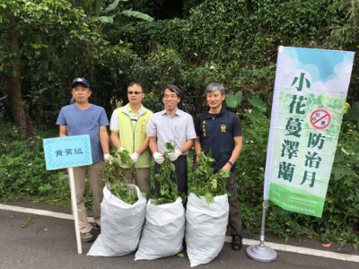 東勢林區管理處處長及貴賓們共同拔蔓成果