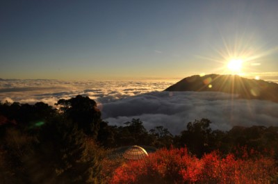 秋冬_大雪山雲海+楓紅