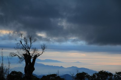 大雪山雲海