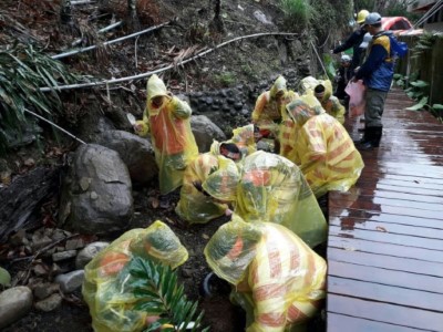 雨中種樹另類體驗