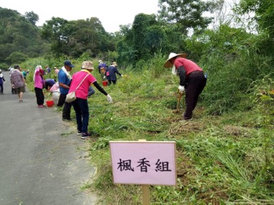 居民實地體驗生態除草保護家園綠第