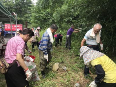 落實生態除草