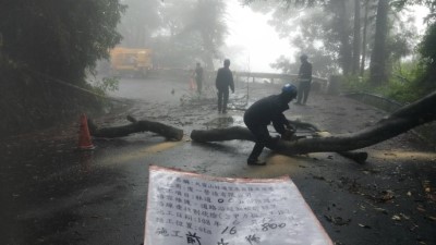 大雪山林道16.8k樹木倒塌