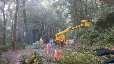 大雪山林道31.8k倒木處理