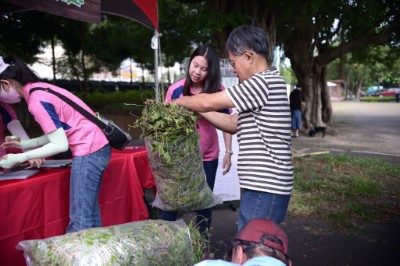 小花蔓澤蘭收購