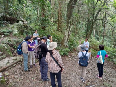 體驗森林之美、沐浴在大自然的懷抱