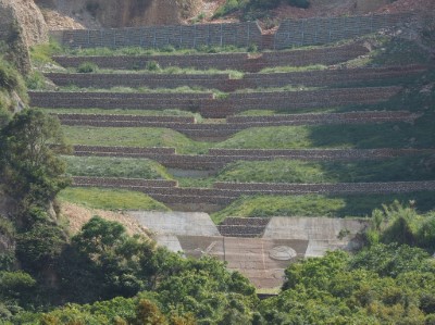 鐵砧山北側崩塌地109年5月坡面狀況