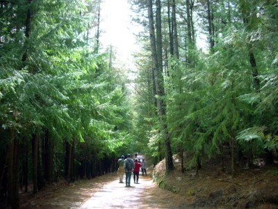 桃山步道