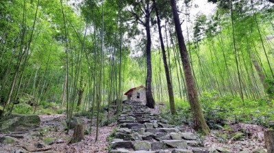 漫步八仙山過端午