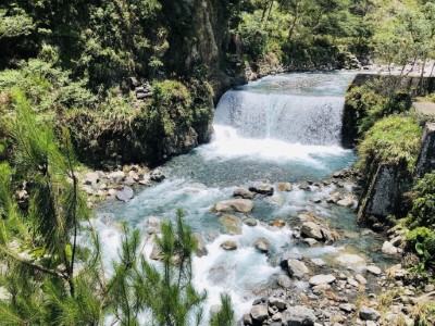 八仙山國家森林遊樂區名泉好水