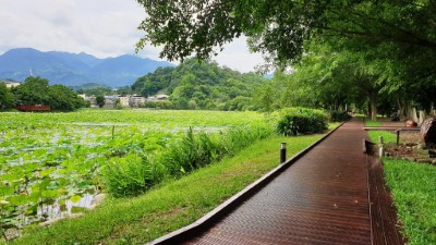 東勢林業文化園區環湖步道