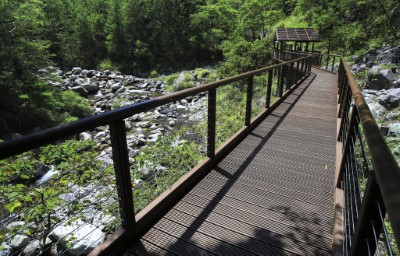 八仙山國家森林遊樂區