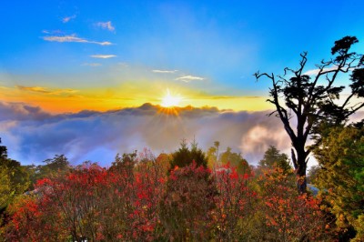 大雪山美麗的雲海和夕陽