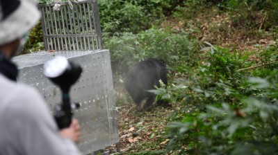 以高分貝聲音及無殺傷力之漆彈槍進行負面制約