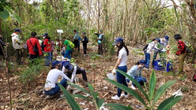 植樹節前夕，推動大肚台地天然林復育工作