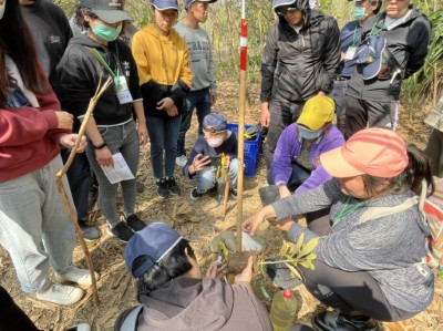 講師詳細教學植樹步驟