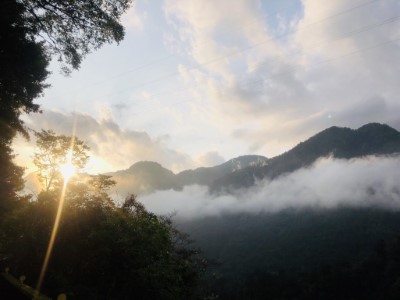 八仙山雲海