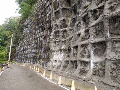 八仙山林道4k