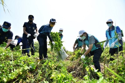 110花蔓澤蘭防治日-處長及三河局課長齊心拔蔓