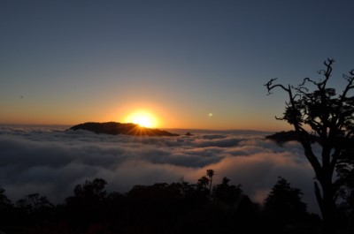 雲海