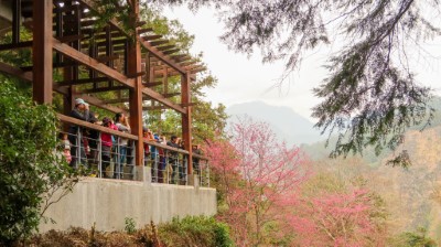 體驗鳥類生態與自然景觀之美