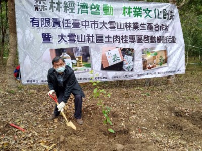 種下土肉桂產業希望