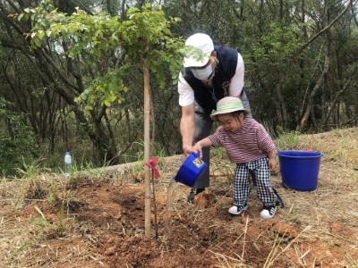 植樹行動從小扎根