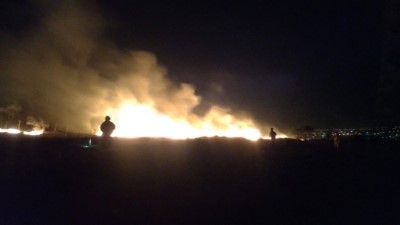 108年橫山公墓旁保安林延燒情形