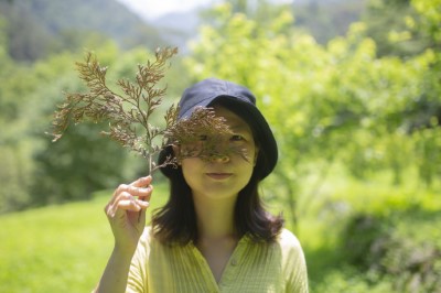 一葉知森