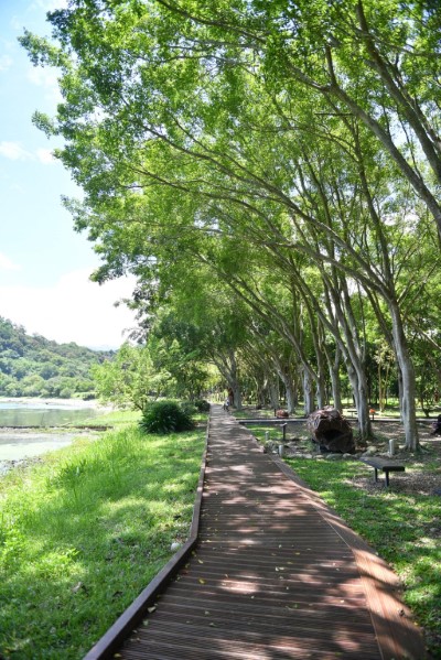 東勢林業文化園區步道