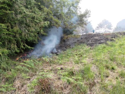 火場草生地延燒1