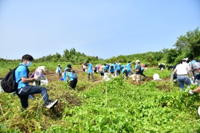 齊心除蔓