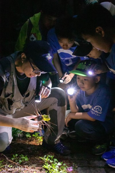 觀察夜間出沒的小生物